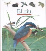 EL RIU EL MON PER UN FORAT | 9788476297056 | GALLIMARD JEUNESSE, ÉDITIONS | Llibreria L'Odissea - Libreria Online de Vilafranca del Penedès - Comprar libros