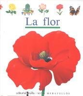 LA FLOR EL MON PER UN FORAT | 9788476295953 | GALLIMARD JEUNESSE, ÉDITIONS | Llibreria Online de Vilafranca del Penedès | Comprar llibres en català