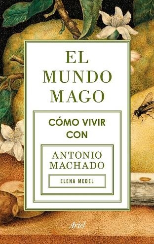 EL MUNDO MAGO | 9788434422353 | MEDEL, ELENA | Llibreria L'Odissea - Libreria Online de Vilafranca del Penedès - Comprar libros