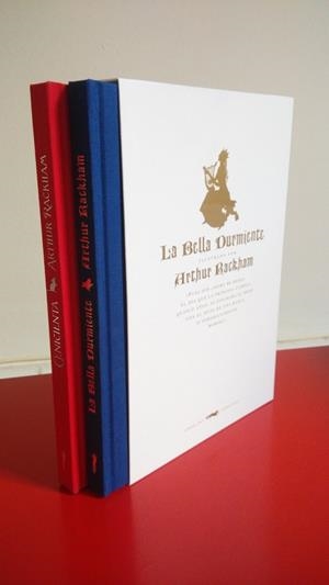 BOX CENICIENTA Y LA BELLA DURMIENTE | 9788494328428 | RACKHAM, ARTHUR | Llibreria L'Odissea - Libreria Online de Vilafranca del Penedès - Comprar libros