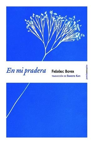 EN MI PRADERA | 9788416358038 | BOYER, FRÉDÉRIC | Llibreria L'Odissea - Libreria Online de Vilafranca del Penedès - Comprar libros