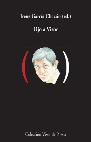 OJO A VISOR | 9788498959000 | GARCÍA CHACÓN, IRENE | Llibreria L'Odissea - Libreria Online de Vilafranca del Penedès - Comprar libros