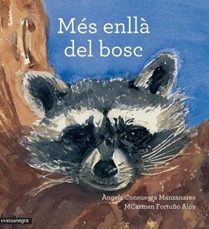 MÉS ENLLÀ DEL BOSC | 9788416033799 | CONSUEGRA MANZANARES, ÀNGELS/FORTUÑO ALÓS, MCARMEN | Llibreria Online de Vilafranca del Penedès | Comprar llibres en català