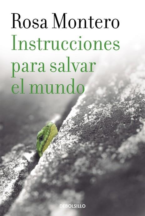 INSTRUCCIONES PARA SALVAR EL MUNDO | 9788490629246 | MONTERO, ROSA | Llibreria L'Odissea - Libreria Online de Vilafranca del Penedès - Comprar libros