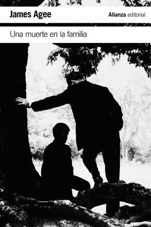 UNA MUERTE EN LA FAMILIA | 9788491041269 | AGEE, JAMES | Llibreria L'Odissea - Libreria Online de Vilafranca del Penedès - Comprar libros