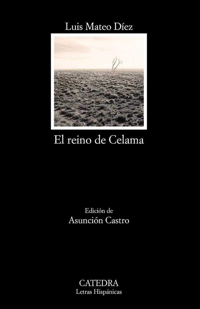 EL REINO DE CELAMA | 9788437634791 | MATEO DÍEZ, LUIS | Llibreria L'Odissea - Libreria Online de Vilafranca del Penedès - Comprar libros