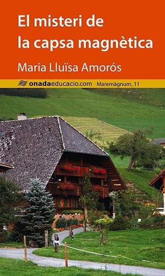 EL MISTERI DE LA CAPSA MAGNÈTICA | 9788415896807 | AMORÓS CORBELLA, MARIA LLUÏSA | Llibreria Online de Vilafranca del Penedès | Comprar llibres en català