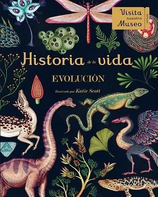 HISTORIA DE LA VIDA | 9788415979937 | SCOTT, KATIE | Llibreria L'Odissea - Libreria Online de Vilafranca del Penedès - Comprar libros
