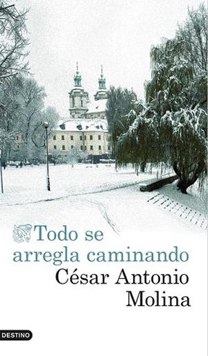 TODO SE ARREGLA CAMINANDO | 9788423350797 | MOLINA, CESAR ANTONIO | Llibreria Online de Vilafranca del Penedès | Comprar llibres en català