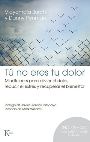 TÚ NO ERES TU DOLOR | 9788499884912 | BURCH, VIDYAMALA / PENMAN, DANNY | Llibreria L'Odissea - Libreria Online de Vilafranca del Penedès - Comprar libros