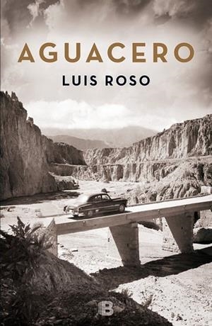AGUACERO | 9788466659215 | ROSO, LUIS | Llibreria L'Odissea - Libreria Online de Vilafranca del Penedès - Comprar libros