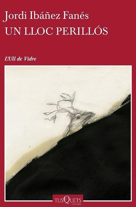 UN LLOC PERILLÓS | 9788490662854 | IBÁÑEZ, JORDI | Llibreria L'Odissea - Libreria Online de Vilafranca del Penedès - Comprar libros