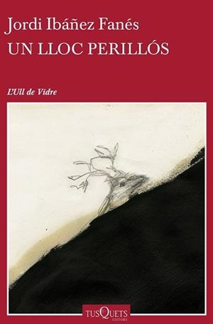 UN LLOC PERILLÓS | 9788490662854 | IBÁÑEZ, JORDI | Llibreria L'Odissea - Libreria Online de Vilafranca del Penedès - Comprar libros