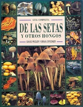 GUIA COMPLETA DE LAS SETAS Y OTROS HONGOS | 9788487756535 | D.PEGLER.. | Llibreria L'Odissea - Libreria Online de Vilafranca del Penedès - Comprar libros