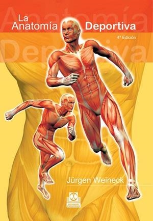 LA ANATOMIA DEPORTIVA | 9788480192095 | J.WEINECK | Llibreria Online de Vilafranca del Penedès | Comprar llibres en català
