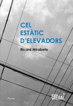 CEL ESTÀTIC D'ELEVADORS | 9788494564819 | MIRABETE, RICARD | Llibreria Online de Vilafranca del Penedès | Comprar llibres en català