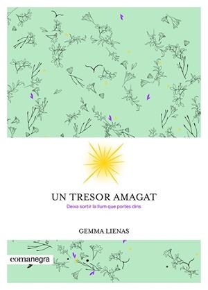 UN TRESOR AMAGAT | 9788416605347 | LIENAS MASSOT, GEMMA | Llibreria Online de Vilafranca del Penedès | Comprar llibres en català
