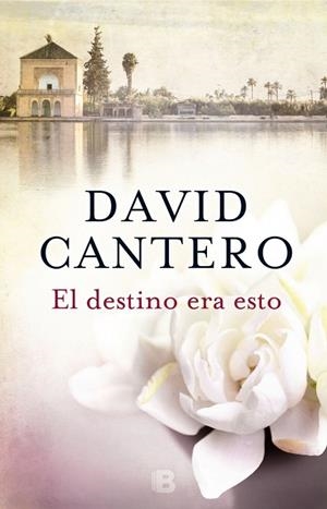 EL DESTINO ERA ESTO | 9788466660068 | CANTERO, DAVID | Llibreria L'Odissea - Libreria Online de Vilafranca del Penedès - Comprar libros