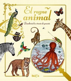 EL REGNE ANIMAL | 9789463075220 | AA. VV. | Llibreria L'Odissea - Libreria Online de Vilafranca del Penedès - Comprar libros