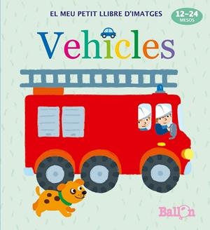 VEHICLES - EL MEU PETIT LLIBRE D'IMATGES | 9789463074919 | AA. VV. | Llibreria L'Odissea - Libreria Online de Vilafranca del Penedès - Comprar libros