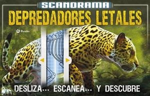 SCANORAMA DEPREDADORES | 9788469606544 | CLAYBOURNE, ANNA | Llibreria L'Odissea - Libreria Online de Vilafranca del Penedès - Comprar libros