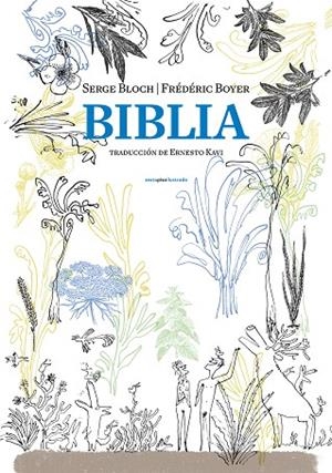 BIBLIA | 9788416677313 | BOYER, FRÉDÉRIC | Llibreria L'Odissea - Libreria Online de Vilafranca del Penedès - Comprar libros