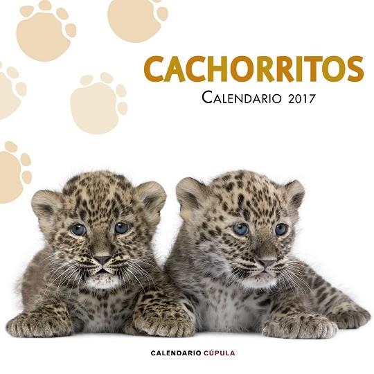 CALENDARIO CACHORRITOS 2017 | 9788448022617 | AA. VV. | Llibreria L'Odissea - Libreria Online de Vilafranca del Penedès - Comprar libros