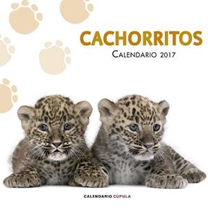 CALENDARIO CACHORRITOS 2017 | 9788448022617 | AA. VV. | Llibreria Online de Vilafranca del Penedès | Comprar llibres en català