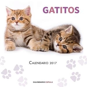 CALENDARIO GATITOS 2017 | 9788448022594 | AA. VV. | Llibreria Online de Vilafranca del Penedès | Comprar llibres en català