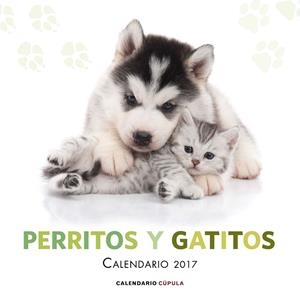 CALENDARIO PERRITOS Y GATITOS 2017 | 9788448022600 | AA. VV. | Llibreria Online de Vilafranca del Penedès | Comprar llibres en català