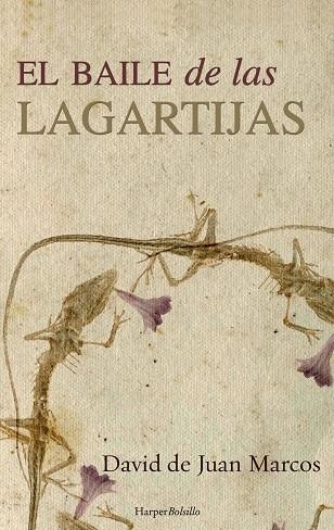 EL BAILE DE LAS LAGARTIJAS | 9788491390473 | DE JUAN MARCOS, DAVID | Llibreria Online de Vilafranca del Penedès | Comprar llibres en català