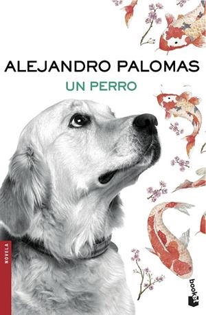 UN PERRO | 9788423351862 | PALOMAS, ALEJANDRO | Llibreria L'Odissea - Libreria Online de Vilafranca del Penedès - Comprar libros