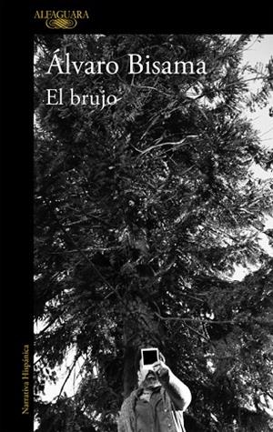 EL BRUJO | 9788420431437 | BISAMA, ALVARO | Llibreria L'Odissea - Libreria Online de Vilafranca del Penedès - Comprar libros