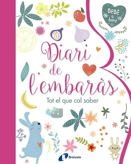 DIARI DE L'EMBARÀS TOT EL QUE CAL SABER | 9788499067797 | AA. VV. | Llibreria L'Odissea - Libreria Online de Vilafranca del Penedès - Comprar libros