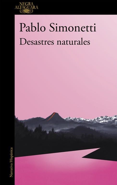 DESASTRES NATURALES  | 9788420432595 | SIMONETTI, PABLO | Llibreria L'Odissea - Libreria Online de Vilafranca del Penedès - Comprar libros