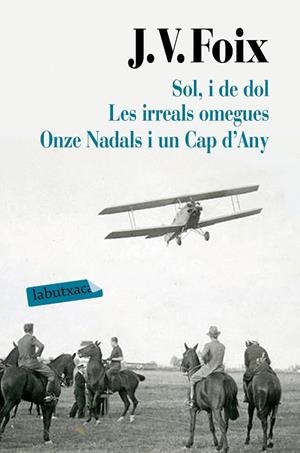 SOL I DE DOL LES IRREALS OMEGUES ONZE NADALS I UN CAP D'ANY | 9788417031626 | FOIX I MAS, J. V. | Llibreria Online de Vilafranca del Penedès | Comprar llibres en català