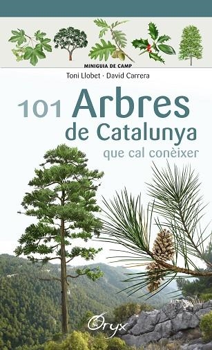 101 ARBRES DE CATALUNYA | 9788490346778 | LLOBET FRANÇOIS, TONI / CARRERA BONET, DAVID | Llibreria L'Odissea - Libreria Online de Vilafranca del Penedès - Comprar libros