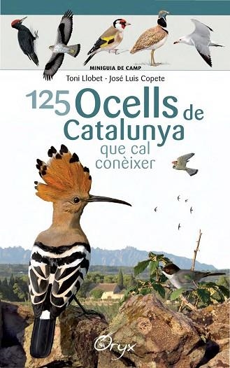 125 OCELLS DE CATALUNYA | 9788490346747 | LLOBET FRANÇOIS, TONI / COPETE, JOSÉ LUIS | Llibreria L'Odissea - Libreria Online de Vilafranca del Penedès - Comprar libros