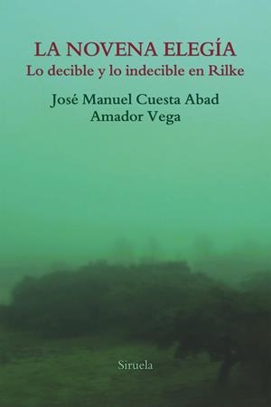 LA NOVENA ELEGÍA | 9788417151997 | VEGA, AMADOR / CUESTA ABAD, JOSÉ MANUEL | Llibreria L'Odissea - Libreria Online de Vilafranca del Penedès - Comprar libros