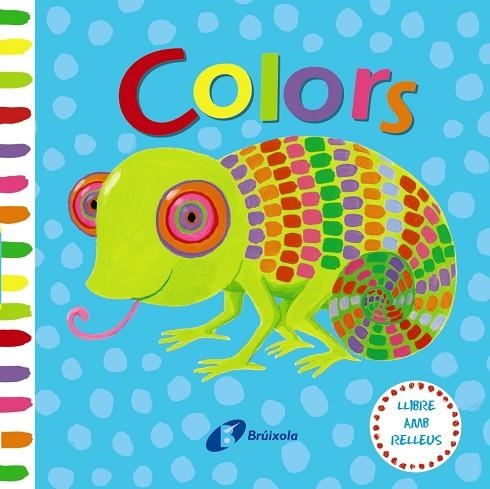 LLIBRE AMB RELLEUS COLORS | 9788499068305 | AA. VV. | Llibreria L'Odissea - Libreria Online de Vilafranca del Penedès - Comprar libros