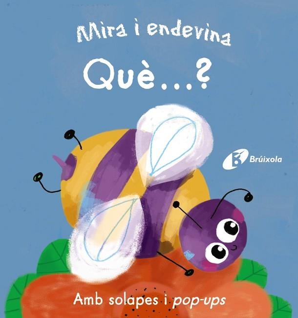MIRA I ENDEVINA QUÈ...? | 9788499068701 | AA. VV. | Llibreria L'Odissea - Libreria Online de Vilafranca del Penedès - Comprar libros