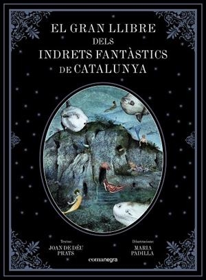 EL GRAN LLIBRE DELS INDRETS FANTÀSTICS DE CATALUNYA | 9788417188344 | PRATS PIJOAN, JOAN DE DÉU / PADILLA CLIMENT, MARIA | Llibreria Online de Vilafranca del Penedès | Comprar llibres en català