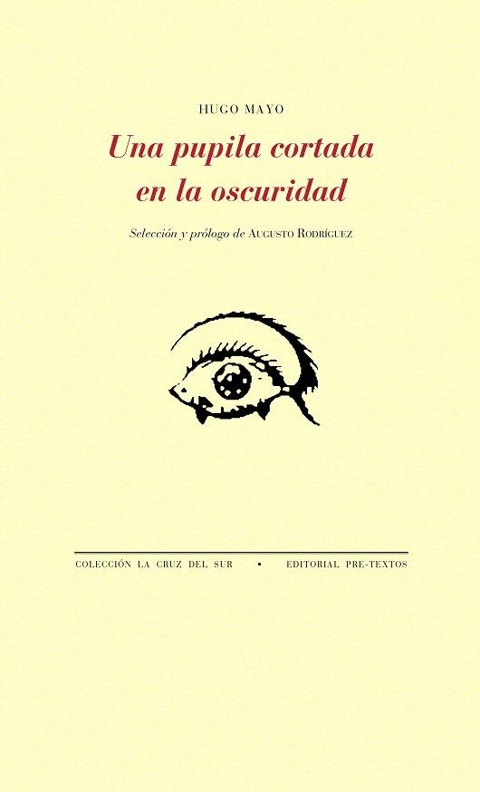 UNA PUPILA CORTADA EN LA OSCURIDAD | 9788417143459 | MAYO, HUGO | Llibreria L'Odissea - Libreria Online de Vilafranca del Penedès - Comprar libros