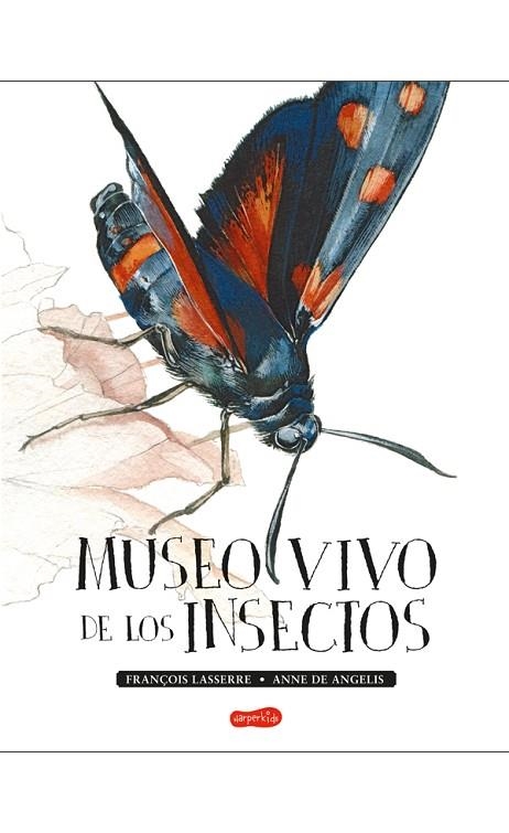 MUSEO VIVO DE LOS INSECTOS | 9788417222123 | LASSERRE, FRANÇOIS | Llibreria L'Odissea - Libreria Online de Vilafranca del Penedès - Comprar libros