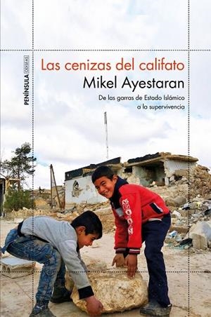 LAS CENIZAS DEL CALIFATO | 9788499427065 | AYESTARAN, MIKEL | Llibreria Online de Vilafranca del Penedès | Comprar llibres en català