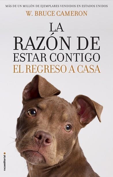 LA RAZÓN DE ESTAR CONTIGO. EL REGRESO A CASA | 9788417092887 | CAMERON, W. BRUCE | Llibreria L'Odissea - Libreria Online de Vilafranca del Penedès - Comprar libros