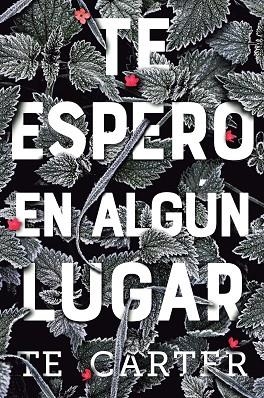 TE ESPERO EN ALGÚN LUGAR | 9788494811319 | CARTER, T E | Llibreria L'Odissea - Libreria Online de Vilafranca del Penedès - Comprar libros
