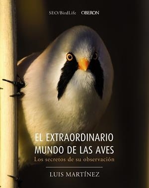 EL EXTRAORDINARIO MUNDO DE LAS AVES LOS SECRETOS DE SU OBSERVACIÓN | 9788441540330 | AA VV | Llibreria Online de Vilafranca del Penedès | Comprar llibres en català