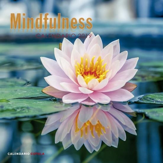 CALENDARIO MINDFULNESS 2019 | 9788448024598 | AA. VV. | Llibreria L'Odissea - Libreria Online de Vilafranca del Penedès - Comprar libros