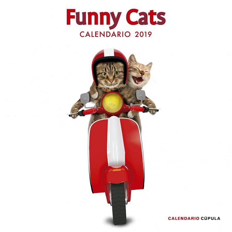 CALENDARIO FUNNY CATS 2019 | 9788448024628 | AA. VV. | Llibreria L'Odissea - Libreria Online de Vilafranca del Penedès - Comprar libros